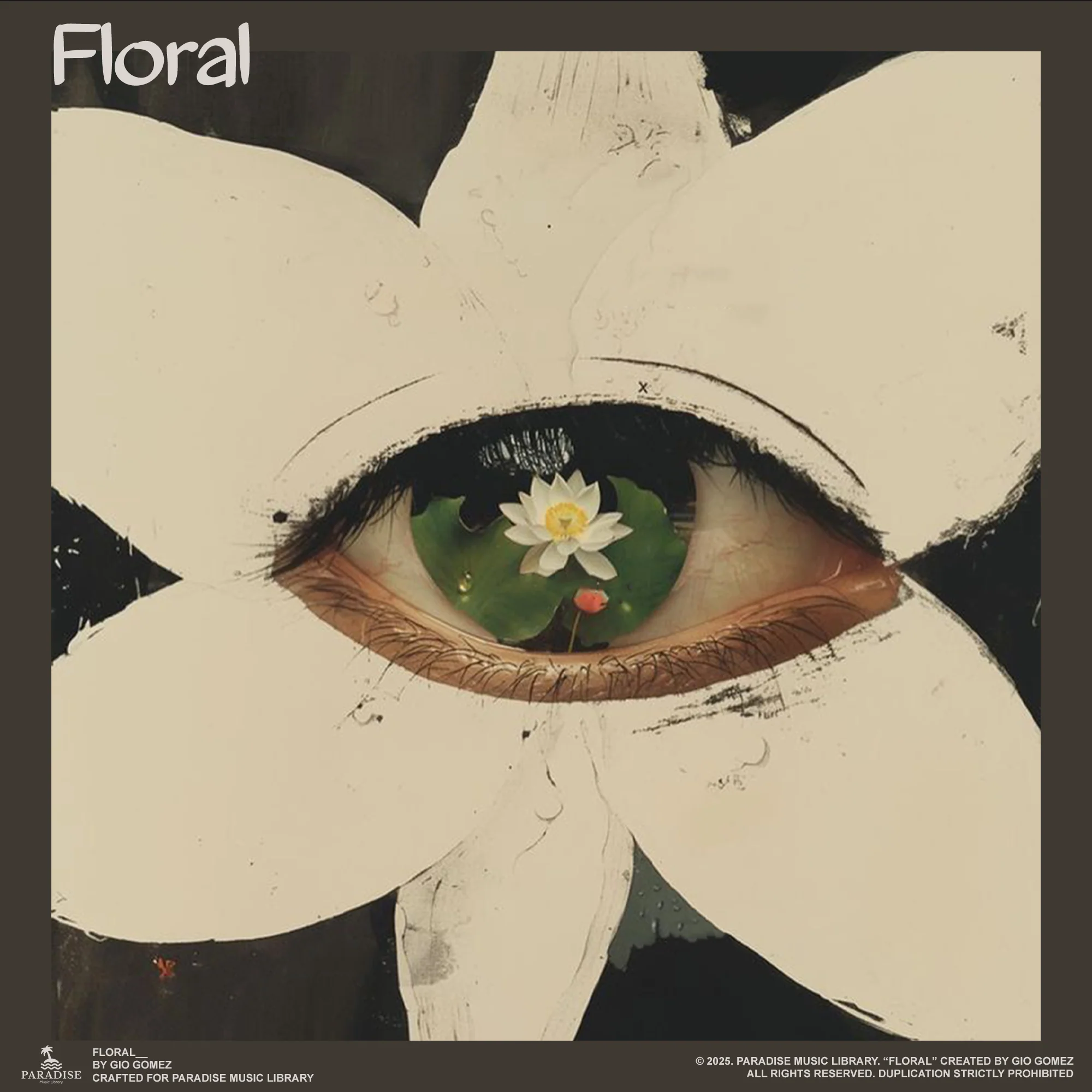 Additional included sample pack artwork
